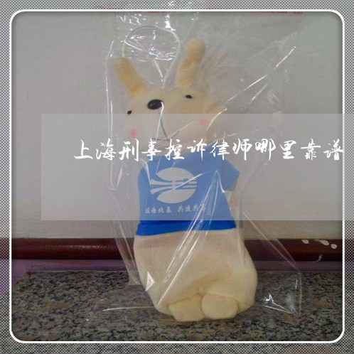 上海刑事控诉律师哪里靠谱/2023031639721