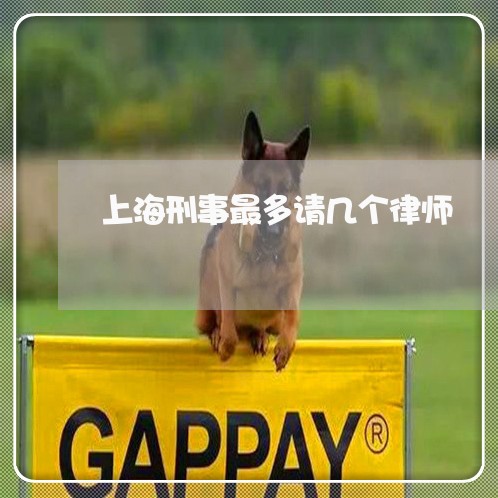 上海刑事最多请几个律师/2023022772825 上海刑事最多请几个律师/2023022772825