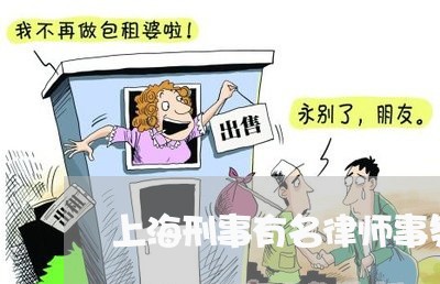 上海刑事有名律师事务所/2023022696838