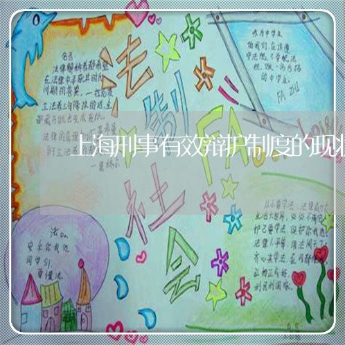 上海刑事有效辩护制度的现状/2023033042693 上海刑事有效辩护制度的现状/2023033042693