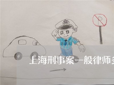 上海刑事案一般律师多少钱/2023031659372