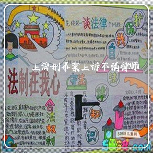 上海刑事案上诉不请律师/2023022642708