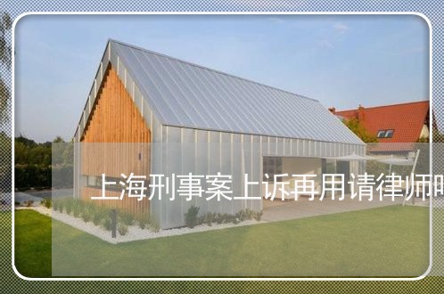 上海刑事案上诉再用请律师吗/2023033043816 上海刑事案上诉再用请律师吗/2023033043816