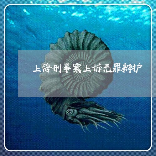 上海刑事案上诉无罪辩护/2023022629068