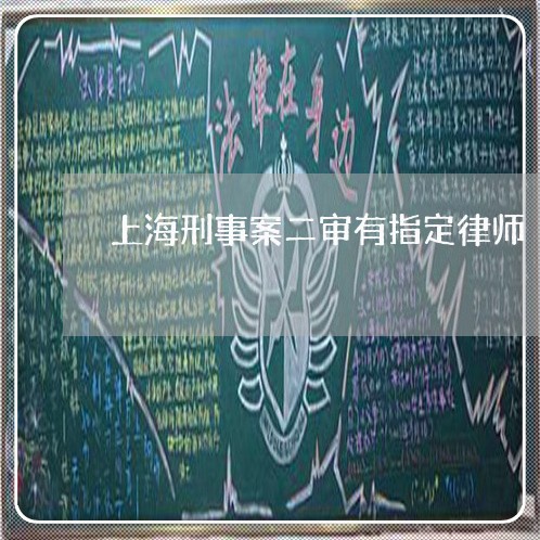 上海刑事案二审有指定律师/2023031687147