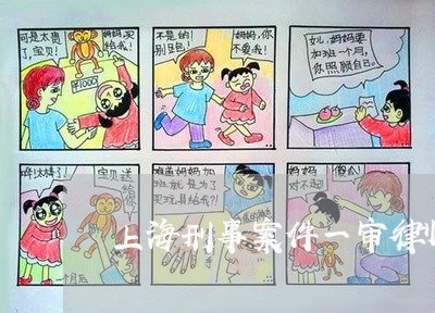 上海刑事案件一审律师负责什么/2023060364815 上海刑事案件一审律师负责什么/2023060364815