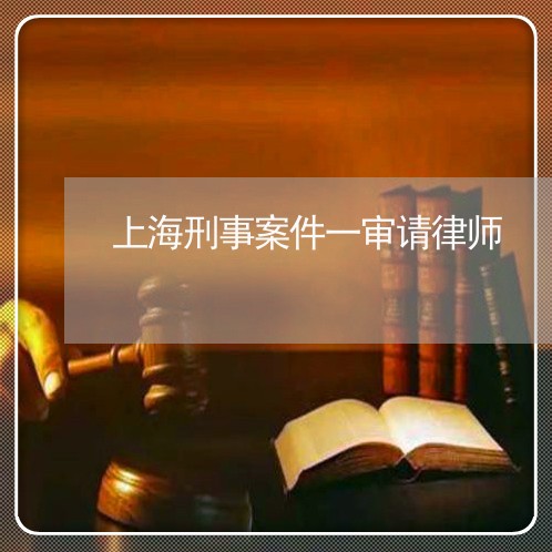 上海刑事案件一审请律师/2023022673715 上海刑事案件一审请律师/2023022673715