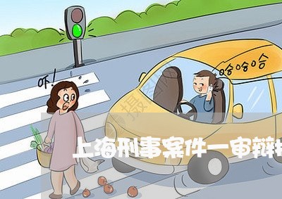 上海刑事案件一审辩护人/2023022662705 上海刑事案件一审辩护人/2023022662705