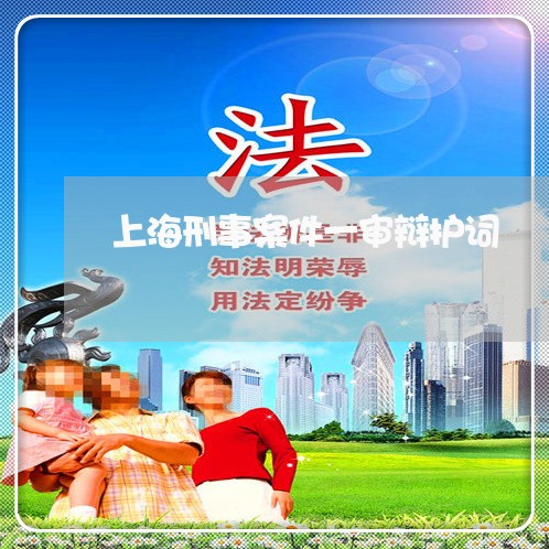 上海刑事案件一审辩护词/2023022663825 上海刑事案件一审辩护词/2023022663825