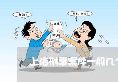 上海刑事案件一般几个律师/2023031683908
