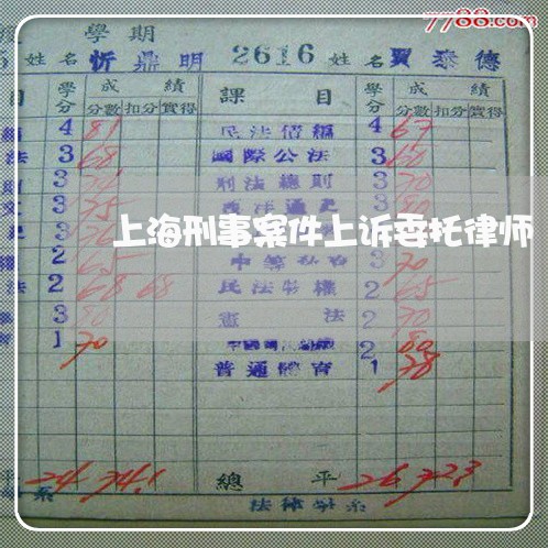 上海刑事案件上诉委托律师/2023031605705