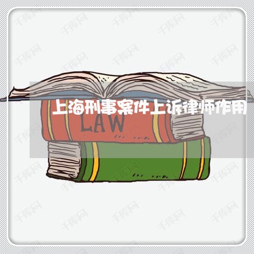 上海刑事案件上诉律师作用/2023031647151