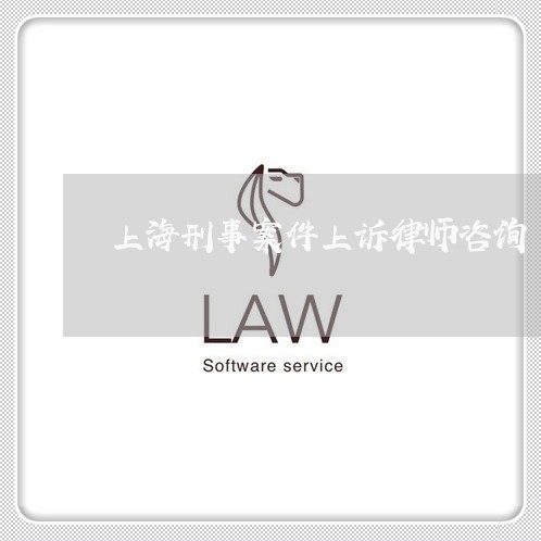 上海刑事案件上诉律师咨询/2023031617359