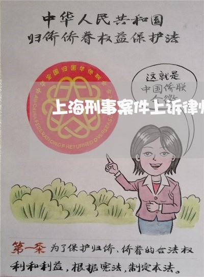 上海刑事案件上诉律师签字/2023031628139