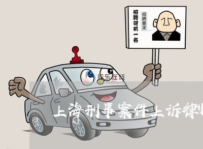 上海刑事案件上诉律师签字/2023031662515