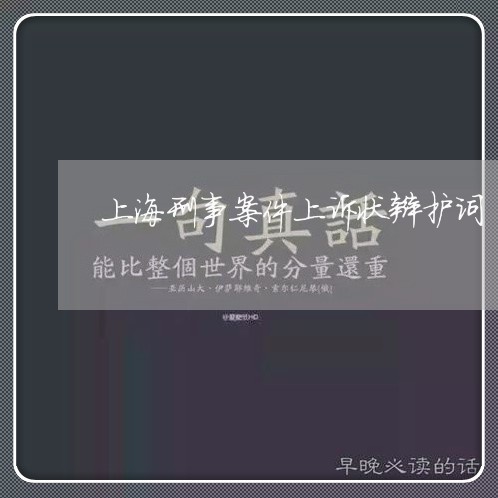 上海刑事案件上诉状辩护词/2023031607260