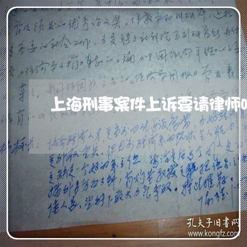 上海刑事案件上诉要请律师吗/2023033064503