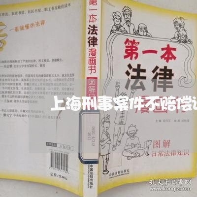 上海刑事案件不赔偿请律师吗/2023033061714