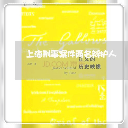 上海刑事案件两名辩护人/2023022627068