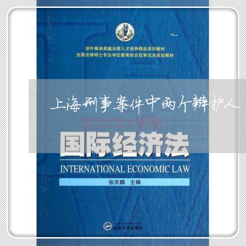 上海刑事案件中两个辩护人/2023031670573 上海刑事案件中两个辩护人/2023031670573