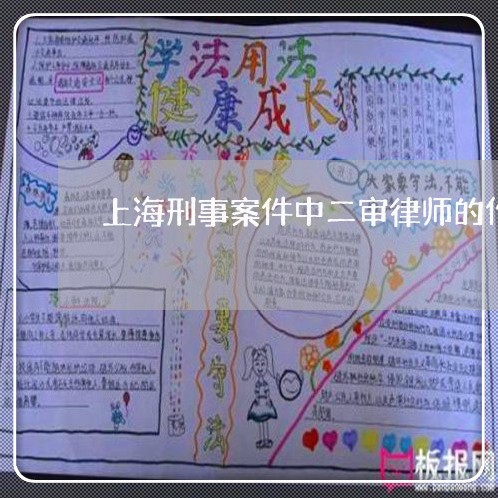 上海刑事案件中二审律师的作用/2023060395837