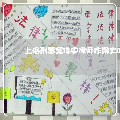 上海刑事案件中律师作用大吗/2023033068460