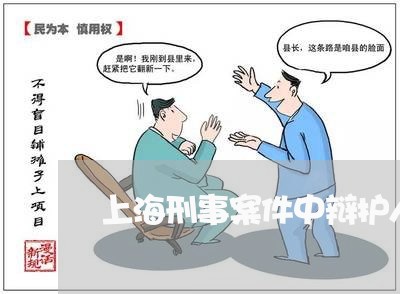 上海刑事案件中辩护人举证/2023031605946 上海刑事案件中辩护人举证/2023031605946