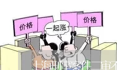 上海刑事案件二审不请律师/2023031630581 上海刑事案件二审不请律师/2023031630581