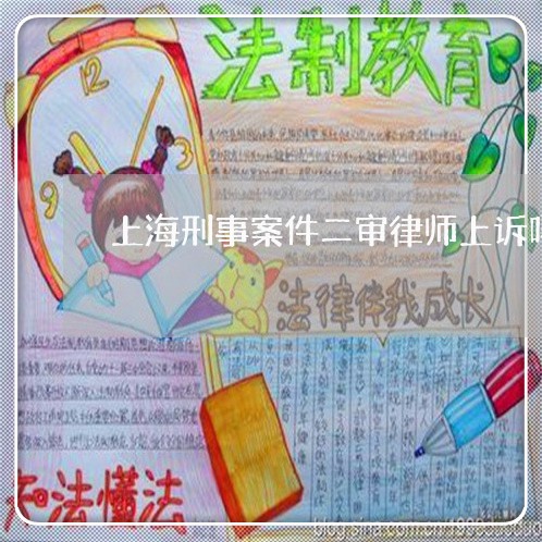 上海刑事案件二审律师上诉吗/2023033022371 上海刑事案件二审律师上诉吗/2023033022371