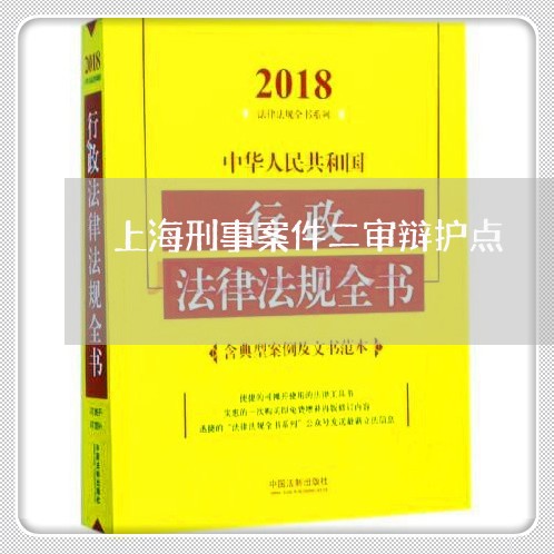 上海刑事案件二审辩护点/2023022646158