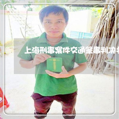 上海刑事案件交通肇事判决书/2023033027251 上海刑事案件交通肇事判决书/2023033027251