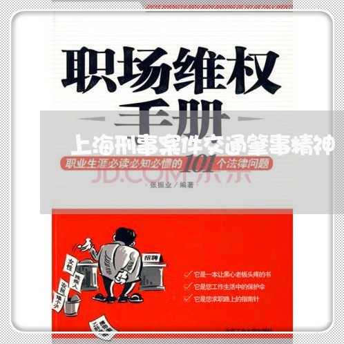 上海刑事案件交通肇事精神/2023031617147 上海刑事案件交通肇事精神/2023031617147