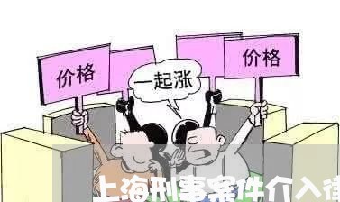 上海刑事案件介入律师有什么用/2023060316259
