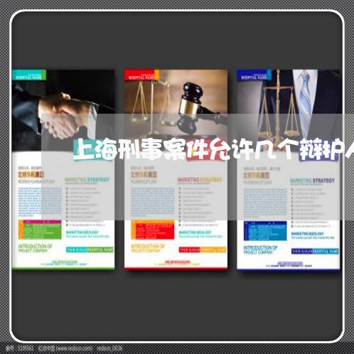 上海刑事案件允许几个辩护人/2023033036058 上海刑事案件允许几个辩护人/2023033036058
