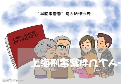 上海刑事案件几个人一个律师/2023033059371