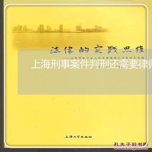 上海刑事案件判刑还需要律师吗/2023060303026