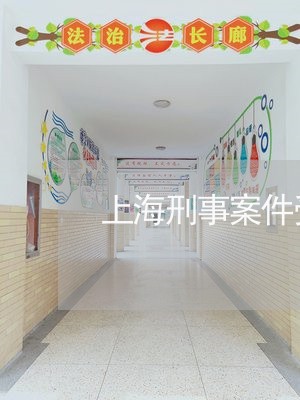 上海刑事案件受害要请律师吗/2023033007158 上海刑事案件受害要请律师吗/2023033007158