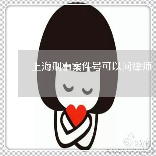上海刑事案件号可以问律师/2023031679493