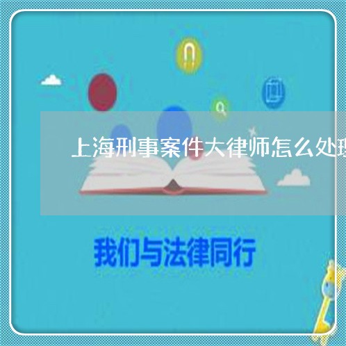 上海刑事案件大律师怎么处理/2023033065926 上海刑事案件大律师怎么处理/2023033065926