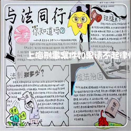 上海刑事案件如果请不起律师呢/2023060356150