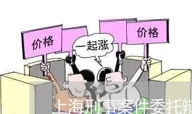 上海刑事案件委托辩护律师/2023032931463