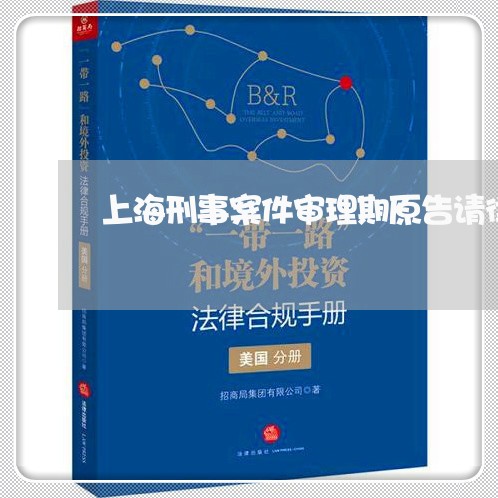 上海刑事案件审理期原告请律师/2023060397582 上海刑事案件审理期原告请律师/2023060397582