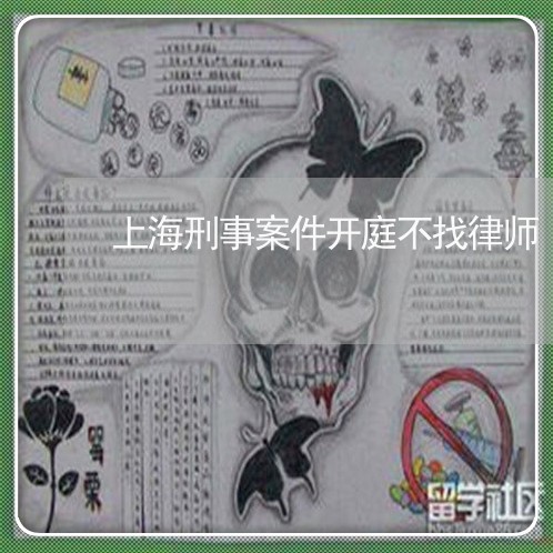 上海刑事案件开庭不找律师/2023032935060