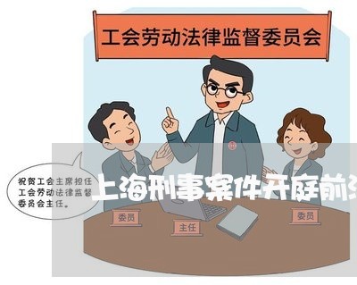 上海刑事案件开庭前没有律师/2023032972614