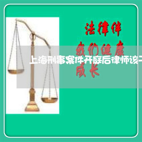 上海刑事案件开庭后律师该干嘛/2023060367172