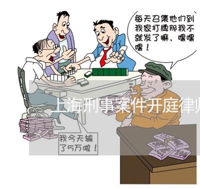 上海刑事案件开庭律师没用吗/2023032990362