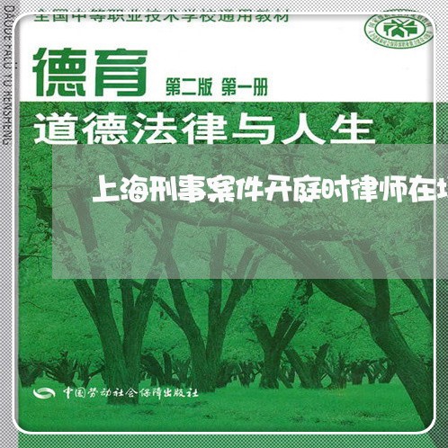 上海刑事案件开庭时律师在场吗/2023060392147