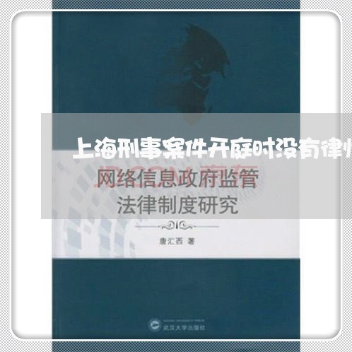 上海刑事案件开庭时没有律师/2023032904158