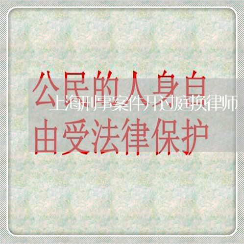 上海刑事案件开过庭换律师/2023032912795