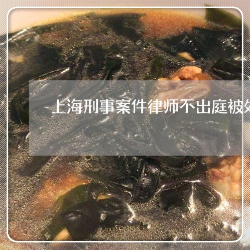 上海刑事案件律师不出庭被处罚/2023060383814